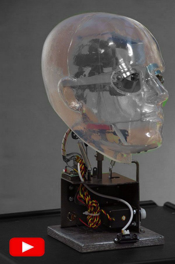 Testa robotizzata